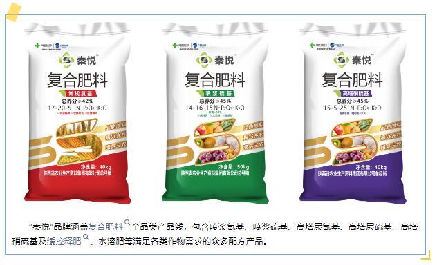 QQ截图20240704111704.jpg