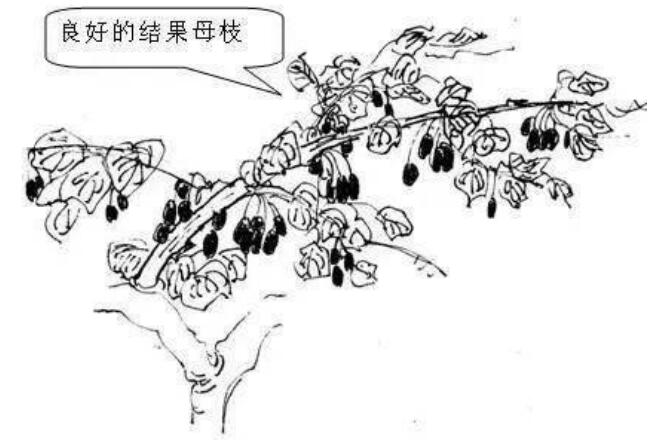 QQ截图20240704160022.jpg