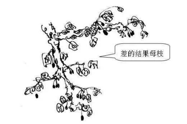QQ截图20240704160044.jpg