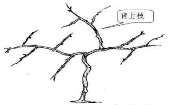 QQ截图20240704160102.jpg