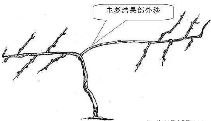 QQ截图20240704160117.jpg