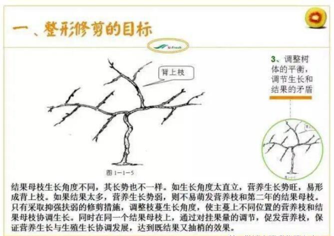 QQ截图20240704160134.jpg