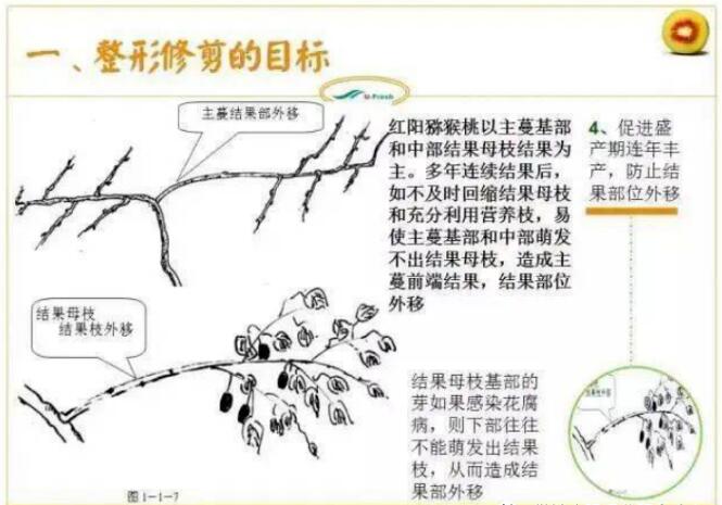 QQ截图20240704160152.jpg
