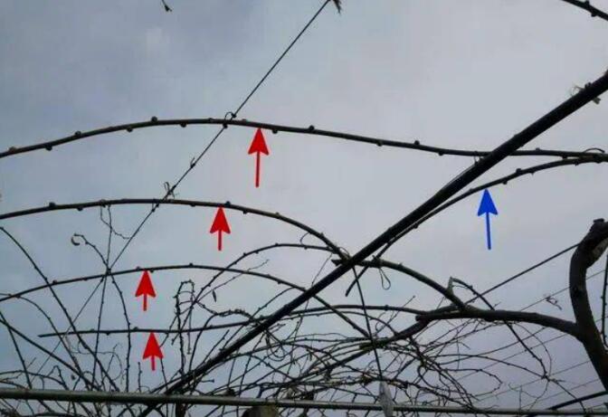 QQ截图20240704160322.jpg