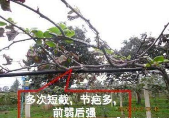 QQ截图20240704160357.jpg